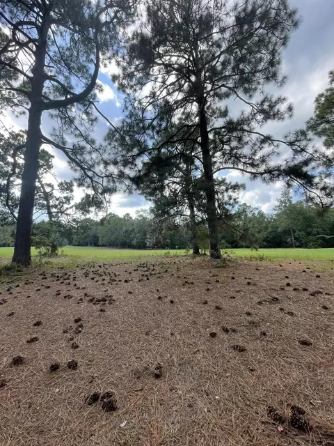 0 Birdie Pl, Graniteville, SC 29829