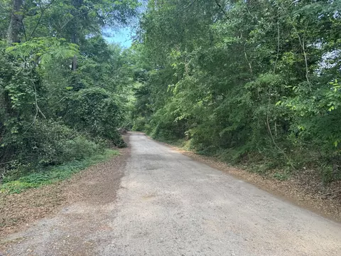 lot2 Bailey Cir, Jackson, SC 29831