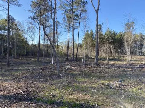 tbd A Old Five Notch Rd, Edgefield, SC 29824 photo 3