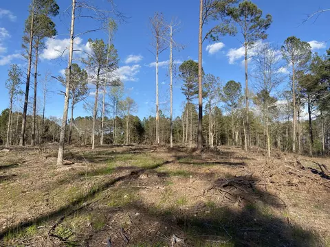tbd A Old Five Notch Rd, Edgefield, SC 29824