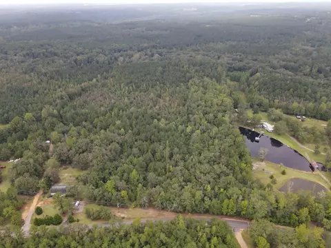 0 Cumbee Trl, Ridge Spring, SC 29129 photo 2