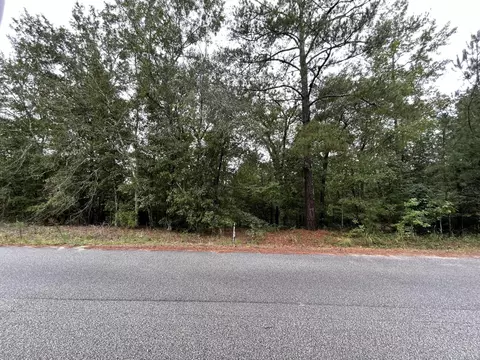 0 Cumbee Trl, Ridge Spring, SC 29129 photo 5