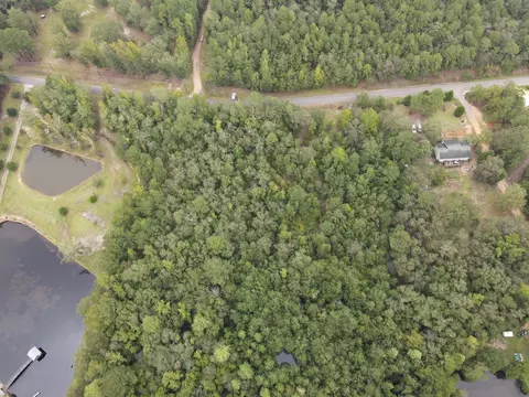 0 Cumbee Trl, Ridge Spring, SC 29129 photo 4