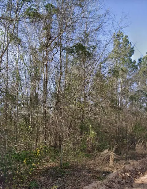 131 Cobblestone Rd, Ridge Spring, SC 29129