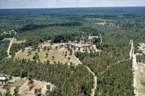 151 Mogleys Run, Williston, SC 29853 photo 52