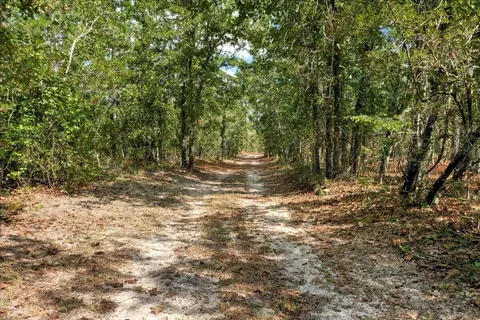 151 Mogleys Run, Williston, SC 29853 photo 35