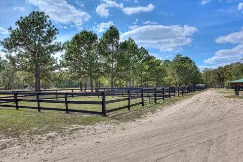 151 Mogleys Run, Williston, SC 29853 photo 9