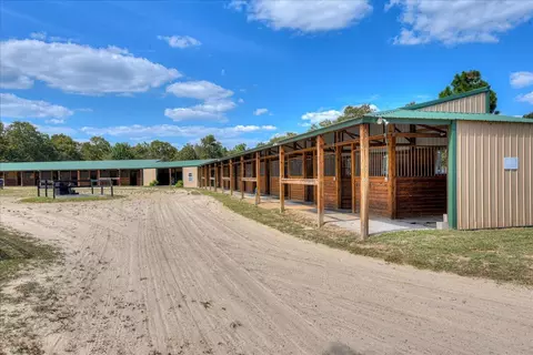 151 Mogleys Run, Williston, SC 29853 photo 8