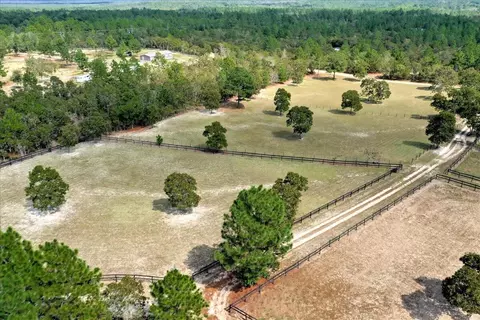 151 Mogleys Run, Williston, SC 29853 photo 43