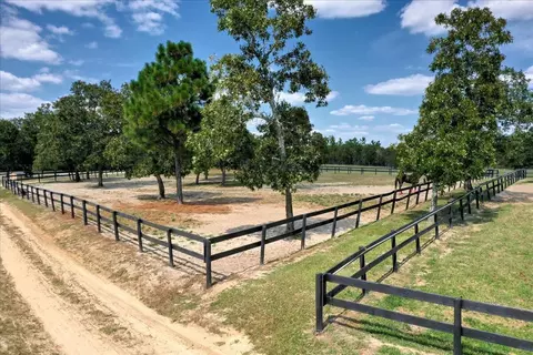 151 Mogleys Run, Williston, SC 29853 photo 30