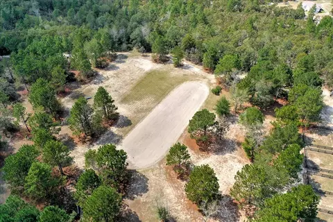 151 Mogleys Run, Williston, SC 29853 photo 57
