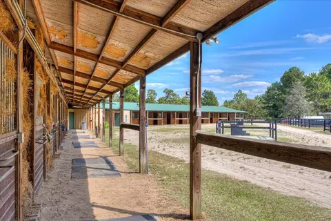 151 Mogleys Run, Williston, SC 29853 photo 4