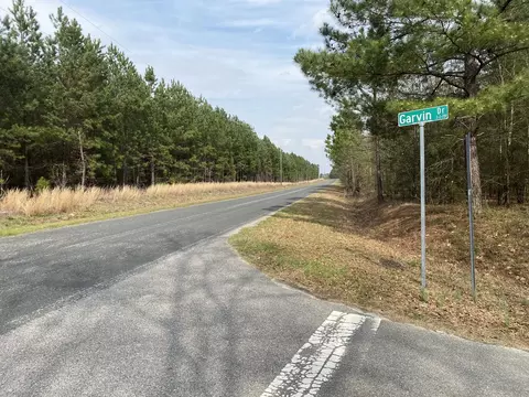 lot7 Collum Pond Rd, Wagener, SC 29164