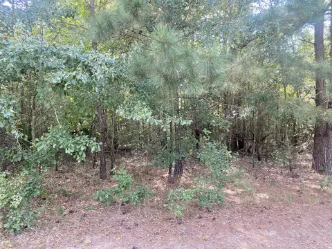 0 Myers Rd St, Graniteville, SC 29829