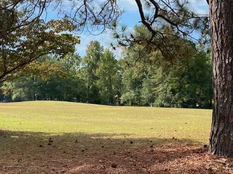 0 Quail Run Ct, Bamberg, SC 29003