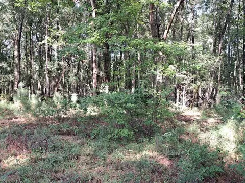 396 Camelot Dr, Rowesville, SC 29133 photo 19