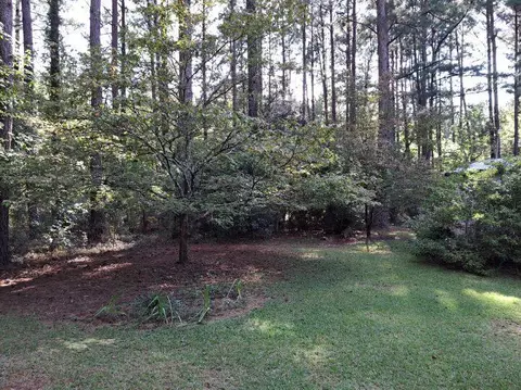 396 Camelot Dr, Rowesville, SC 29133 photo 27