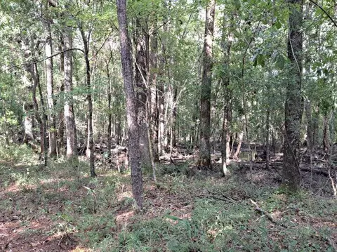 396 Camelot Dr, Rowesville, SC 29133 photo 20