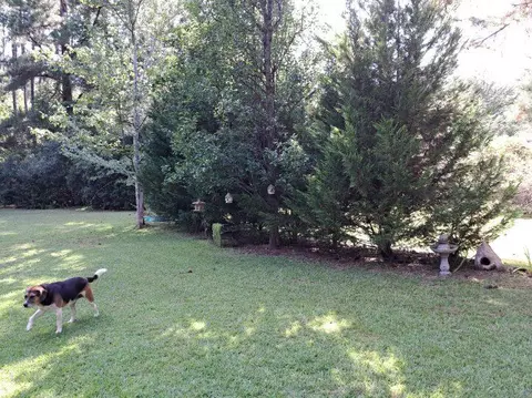 396 Camelot Dr, Rowesville, SC 29133 photo 14