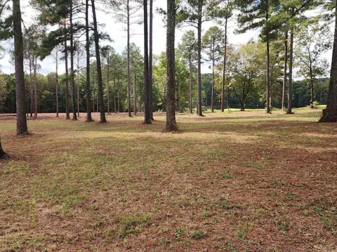 236 Persimmon Dr, Saluda, SC 29138 photo 3