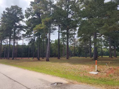 236 Persimmon Dr, Saluda, SC 29138 photo 2