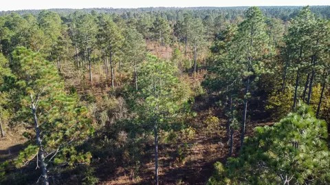 0 Whitetail Ct, Williston, SC 29853 photo 9