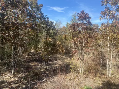 0 Whitetail Ct, Williston, SC 29853 photo 2