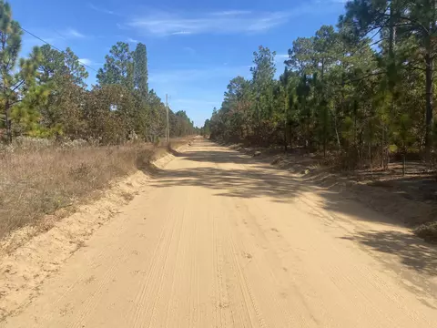 0 Whitetail Ct, Williston, SC 29853 photo 4