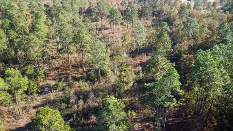 0 Whitetail Ct, Williston, SC 29853 photo 11