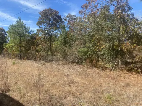 0 Whitetail Ct, Williston, SC 29853 photo 3