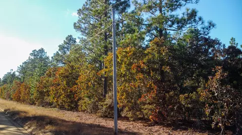 0 Whitetail Ct, Williston, SC 29853 photo 6