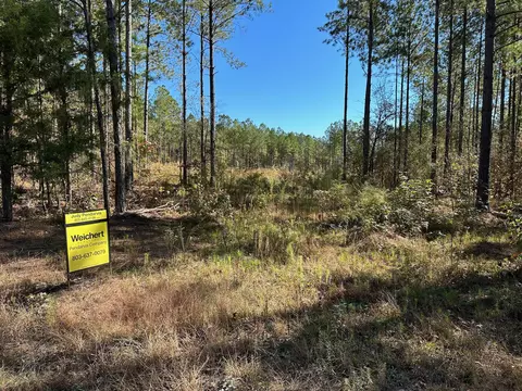 tbd Turkey Rd, Edgefield, SC 29824 photo 3
