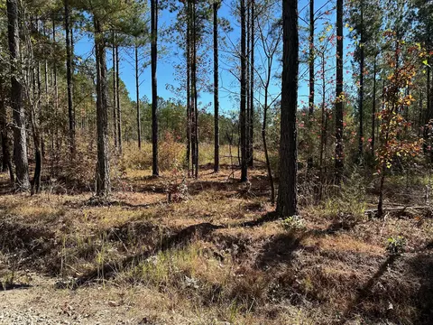 tbd Turkey Rd, Edgefield, SC 29824