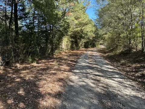 tbd Camel Rd, Saluda, SC 29138 photo 3