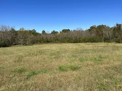 tbd Camel Rd, Saluda, SC 29138 photo 2