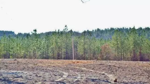 538 Parkside Dr, Aiken, SC 29803