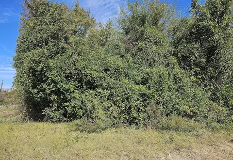 00 Walker Ave # -H, New Ellenton, SC 29809