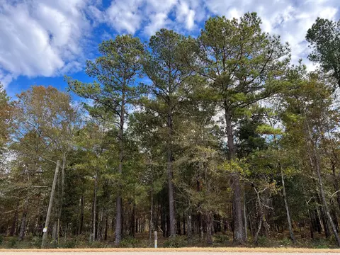 0- W3 Wagener Rd #3, Wagener, SC 29164