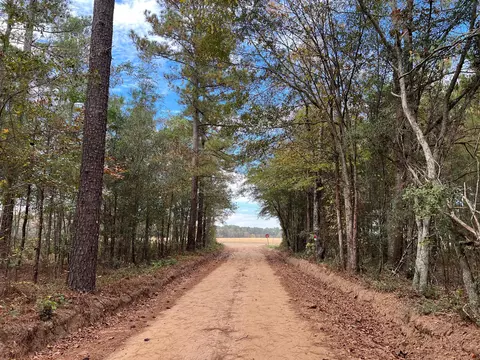 0- W8 Wendell Ln #8, Wagener, SC 29164