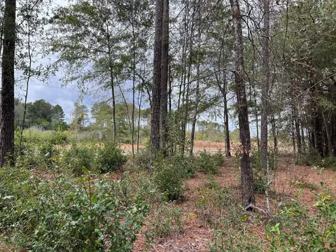 0- R3 Rainbow Dr #3, Salley, SC 29137