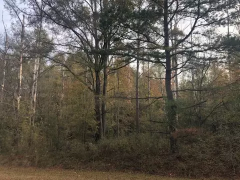 lot25 Crestridge Dr, Waynesboro, GA 30830