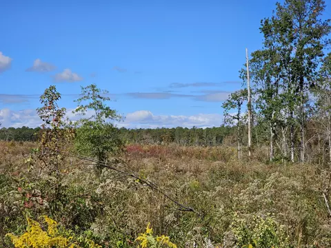 tbd 8a Ouzts, Edgefield, SC 29824
