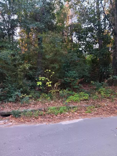 O 278 Highway, Barnwell, SC 29812
