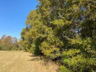 0 Larkin Rice Road Rd # B, Saluda, SC 29138