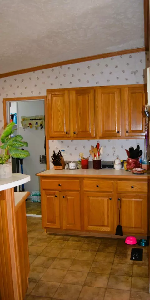 723 A C Bouknight Rd, Gilbert, SC 29054 photo 8