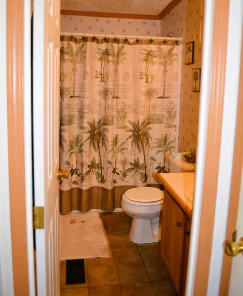 723 A C Bouknight Rd, Gilbert, SC 29054 photo 24