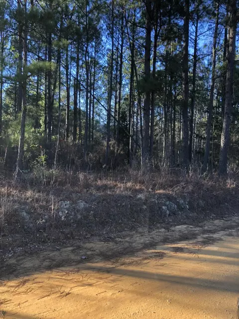 Tract 8 Old Draw Bridge Road Road, Aiken, SC 29803