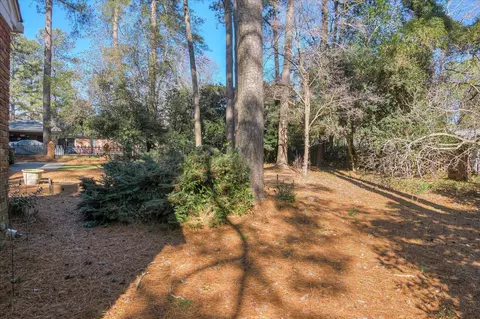 3123 Vassar Dr, Augusta, GA 30909 photo 35