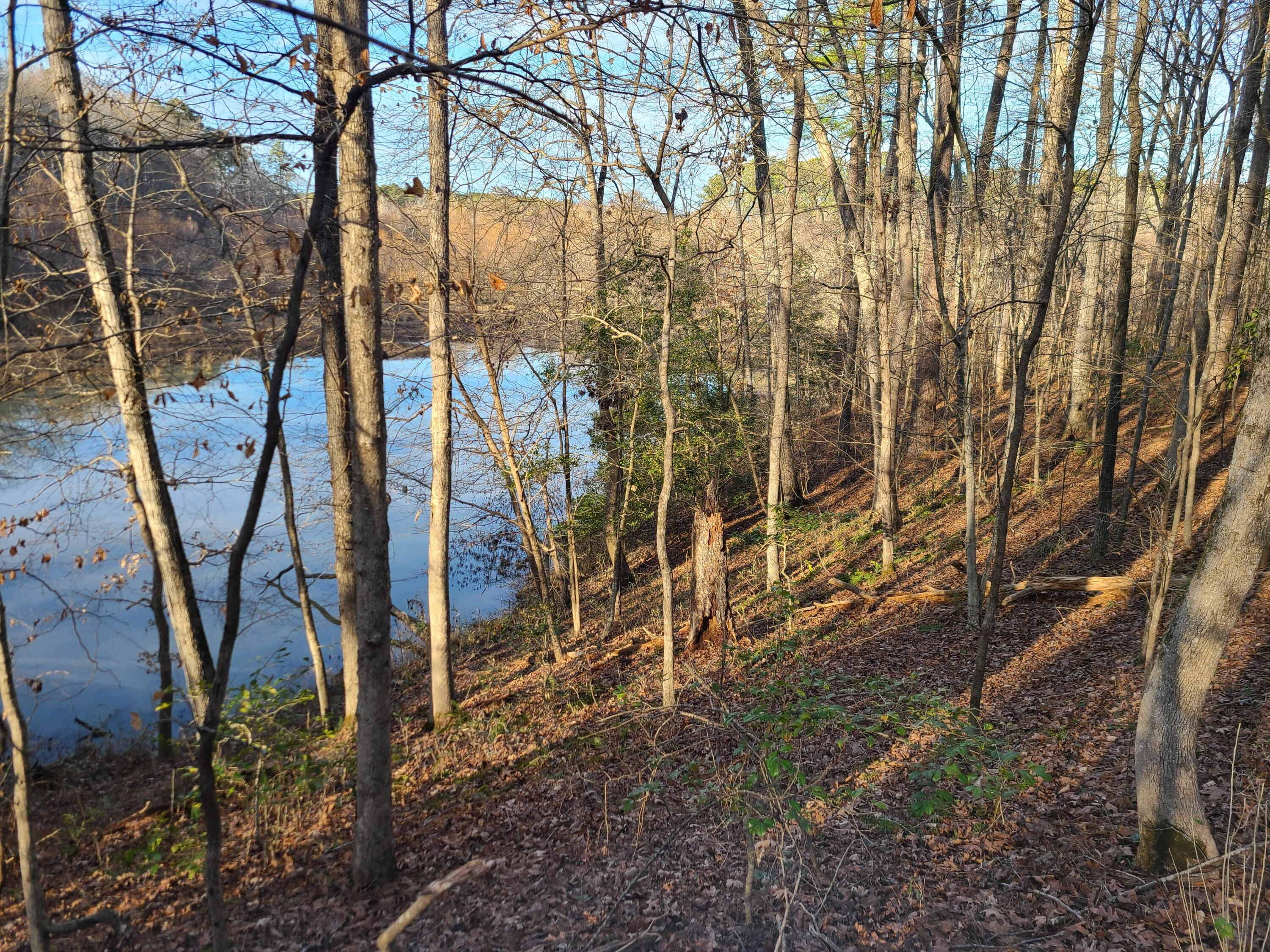 2160 Martintown Rd  