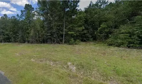 Tract B Finback Rd, Wagener, SC 29164